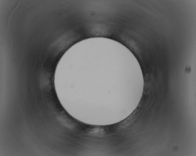X0000092250162200710051306