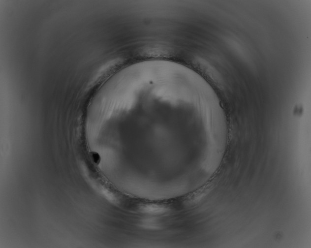 X0000092250163200710051306