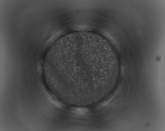 X0000092250165200710051306
