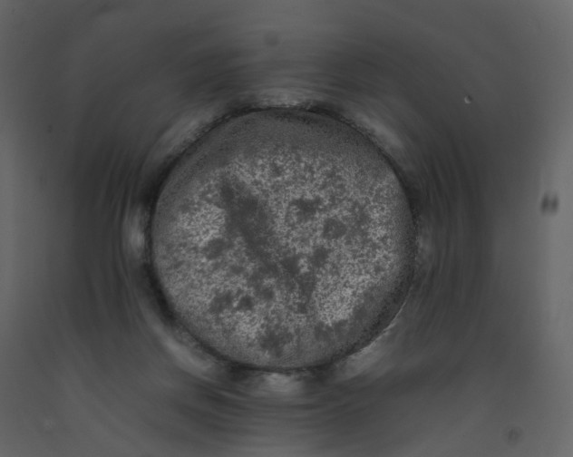 X0000092250166200710051306