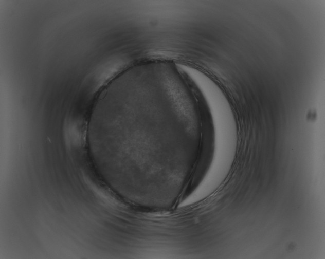 X0000092250168200710051306