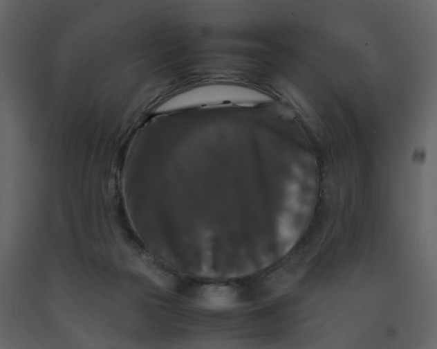 X0000092250169200710051306
