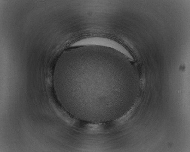 X0000092250170200710051306
