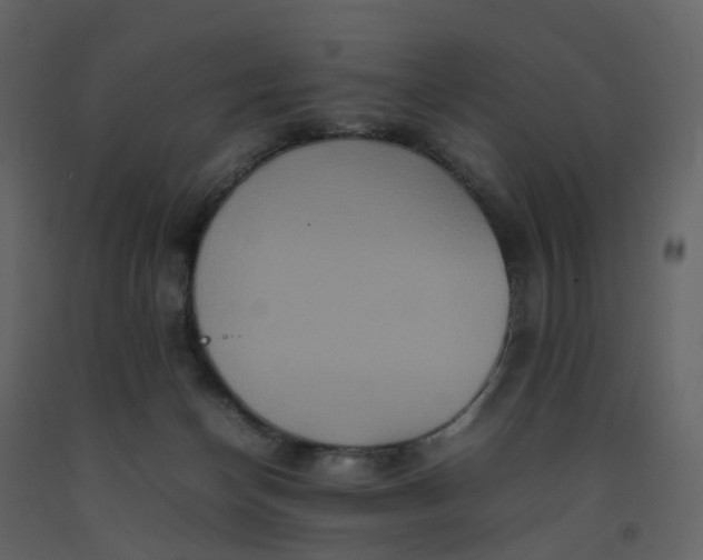 X0000092250174200710051306