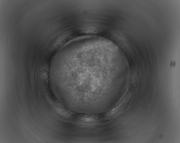 X0000092250175200710051306