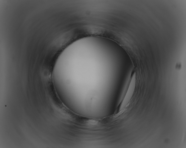 X0000092250176200710051306