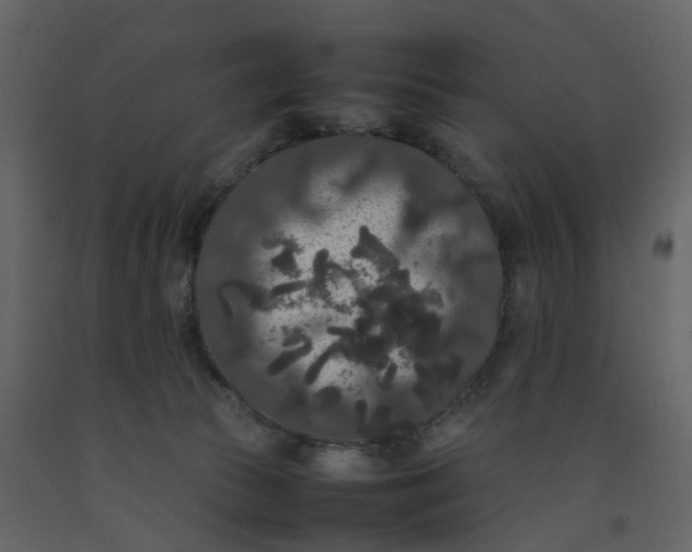 X0000092250177200710051306