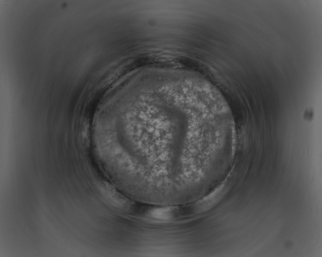 X0000092250178200710051306