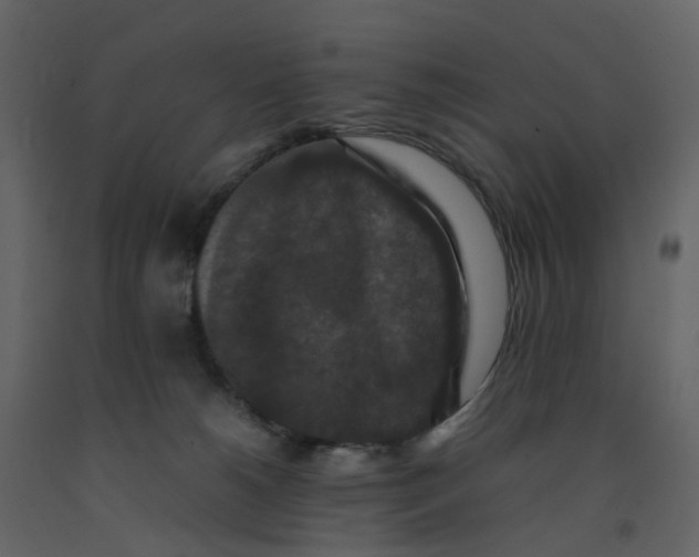 X0000092250180200710051306