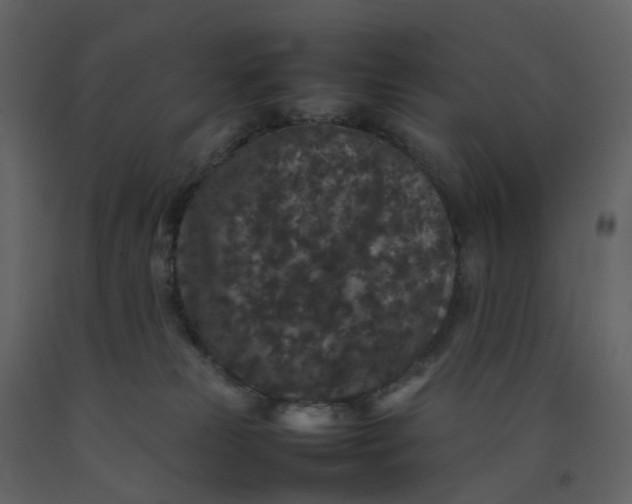 X0000092250181200710051306