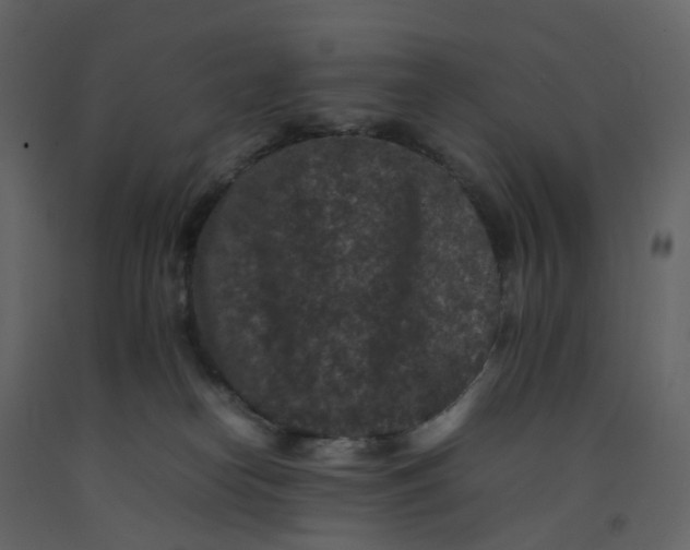 X0000092250182200710051306