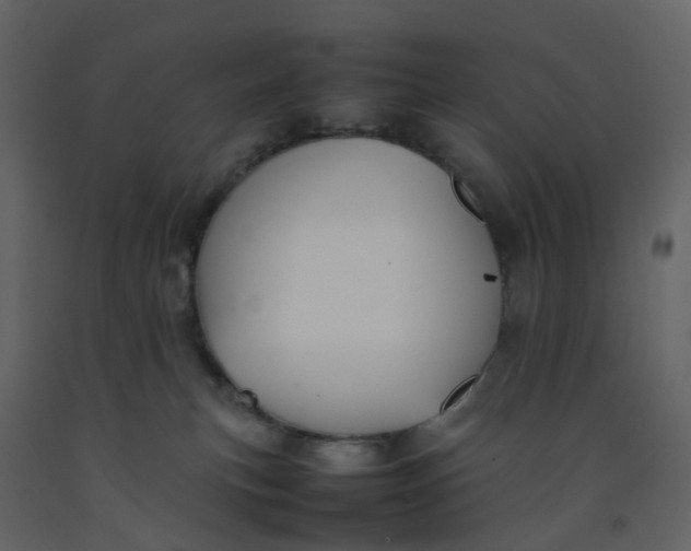 X0000092250183200710051306