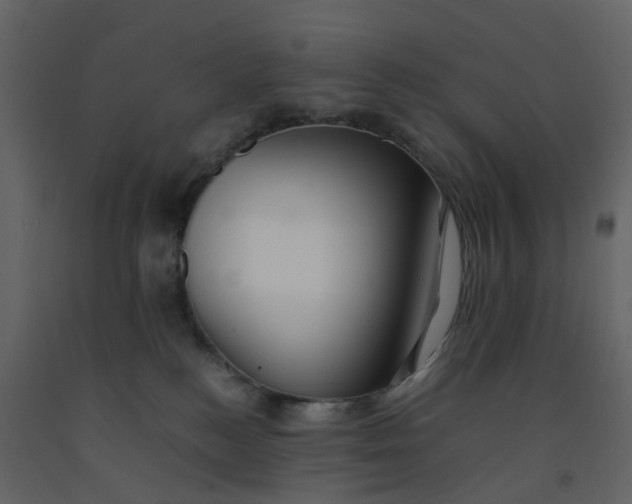 X0000092250184200710051306