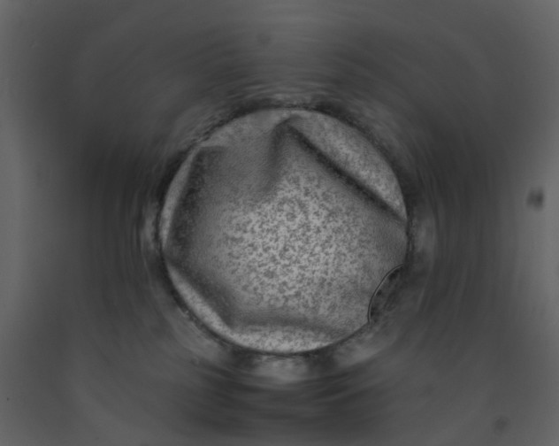 X0000092250185200710051306
