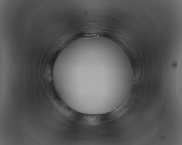 X0000092250187200710051306