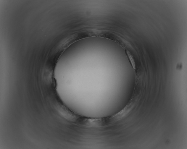 X0000092250188200710051306