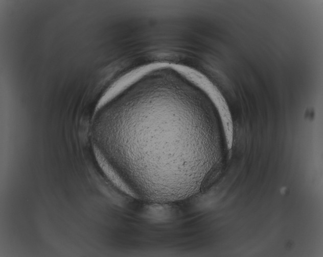 X0000092250189200710051306