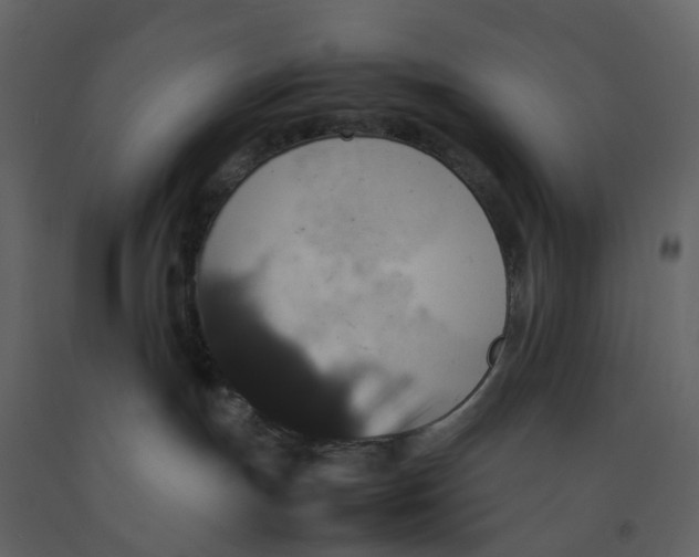 X0000092250191200710051306