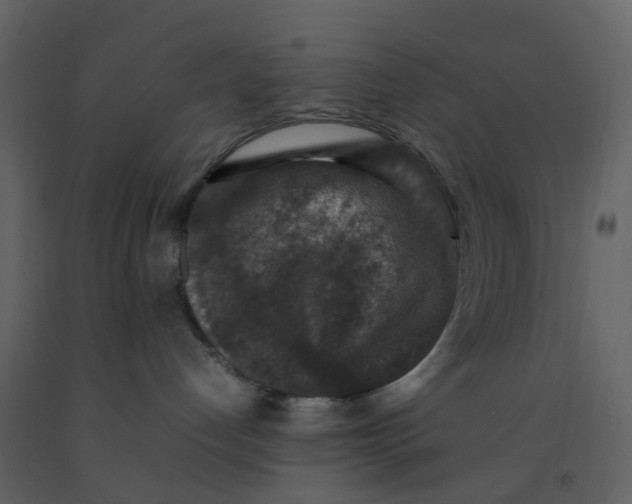 X0000092250192200710051306
