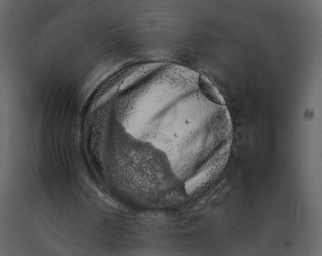 X0000092250194200710051306
