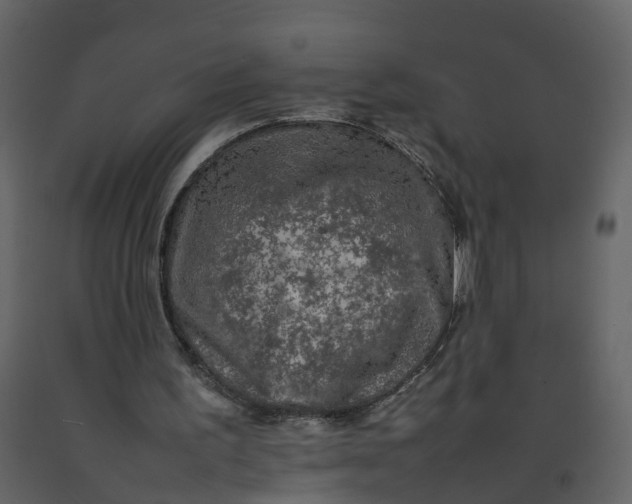 X0000092250195200710051306