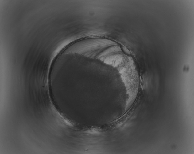 X0000092250196200710051306