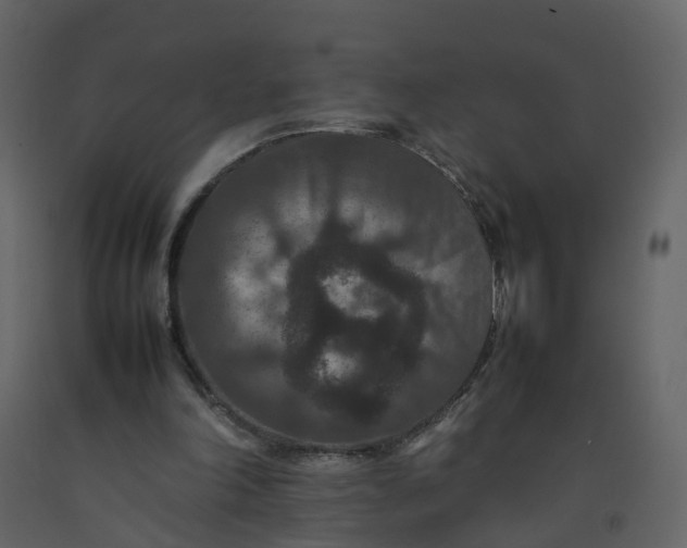 X0000092250198200710051306