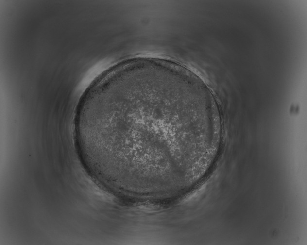 X0000092250199200710051306