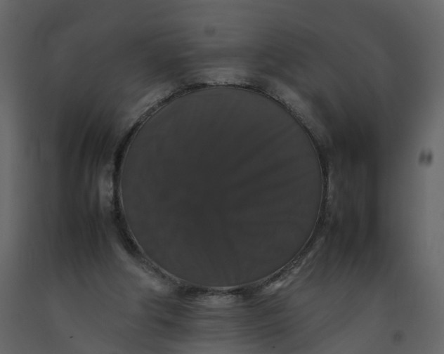 X0000092250202200710051306