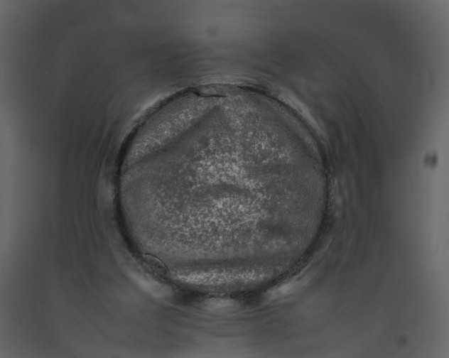 X0000092250203200710051306