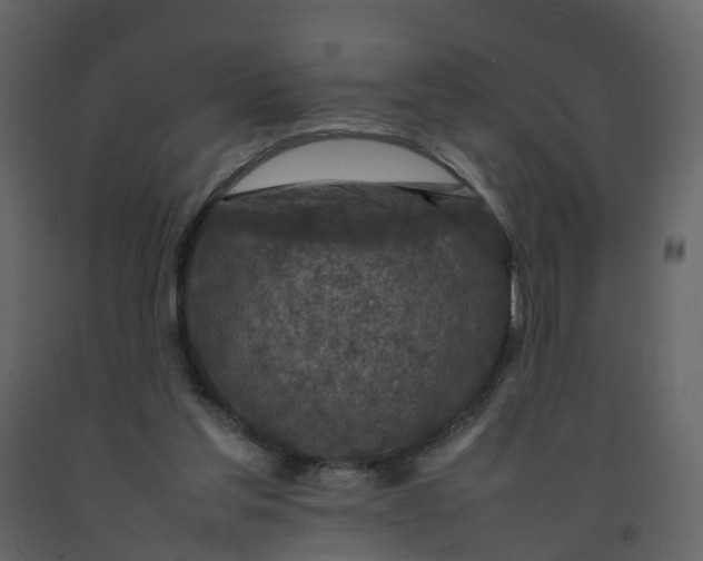 X0000092250205200710051306