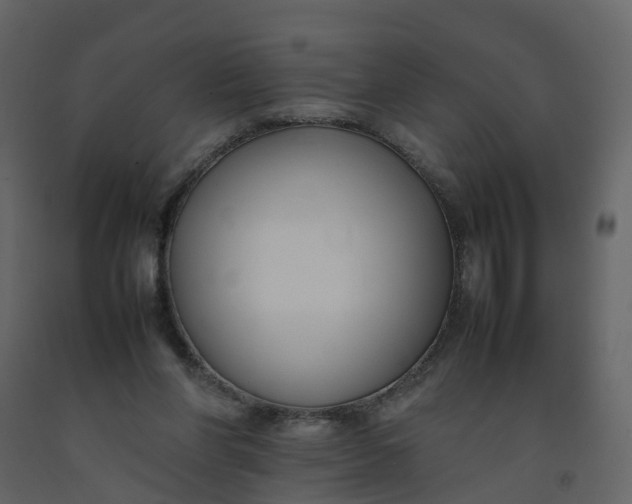 X0000092250206200710051306