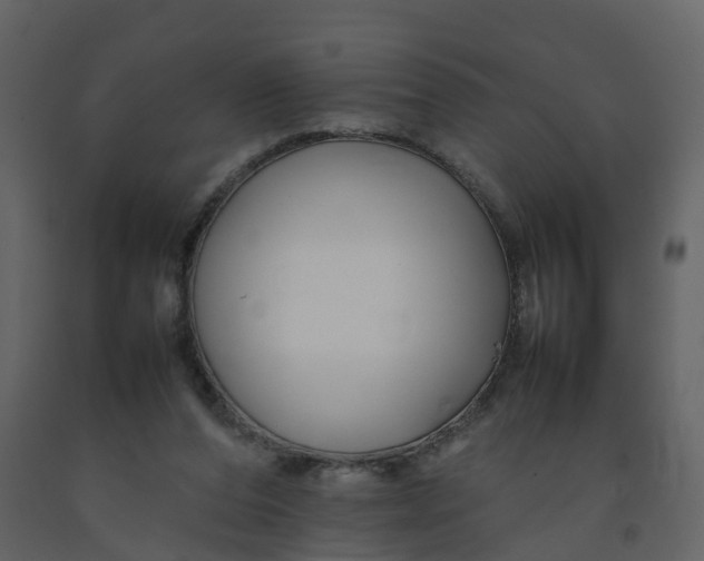 X0000092250208200710051306