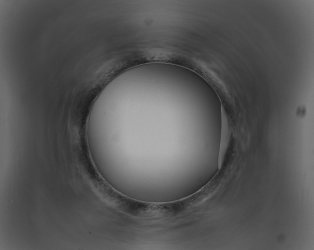 X0000092250209200710051306