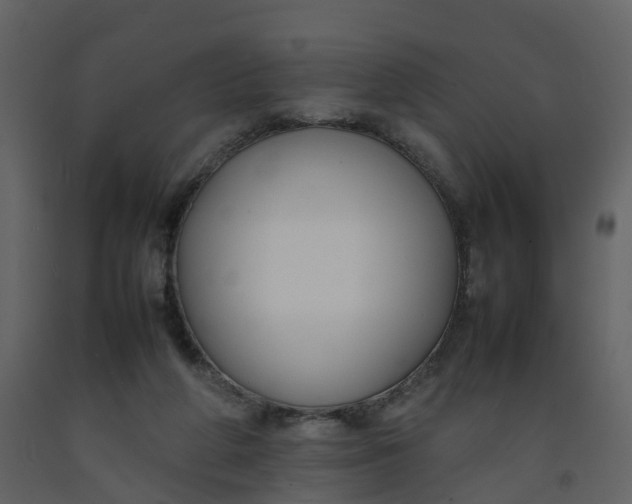 X0000092250210200710051306