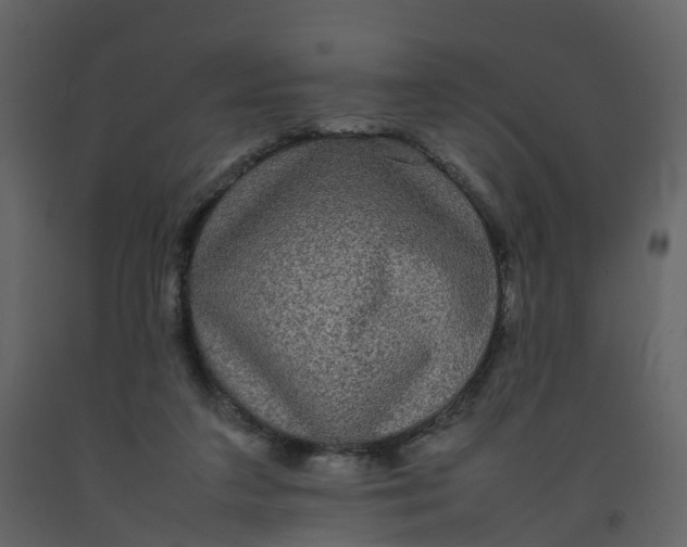 X0000092250211200710051305