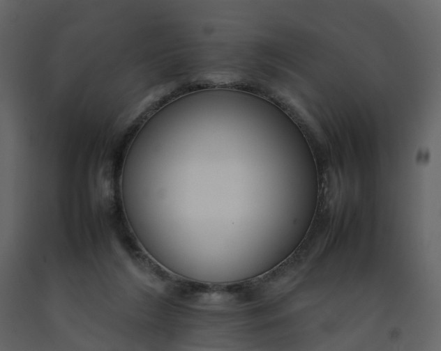 X0000092250212200710051305