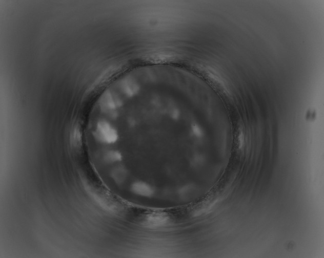 X0000092250214200710051305