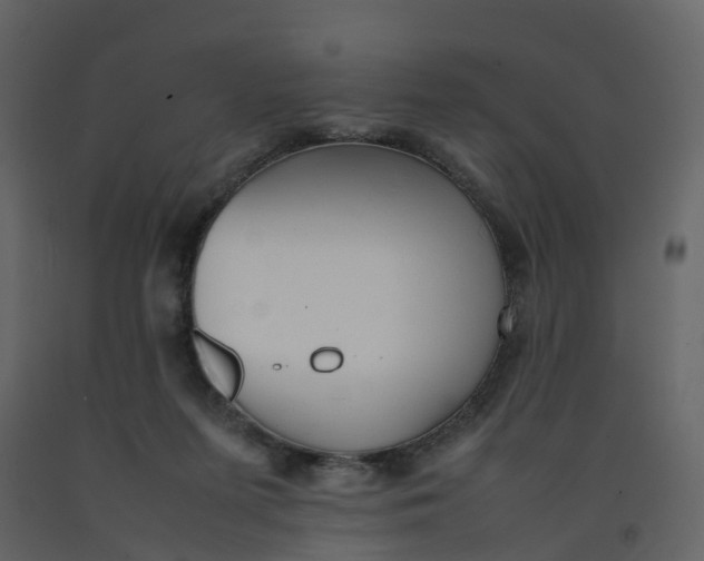 X0000092250215200710051305