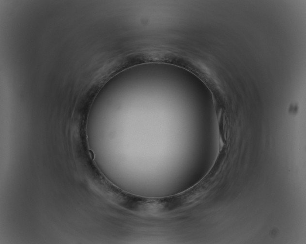 X0000092250217200710051305
