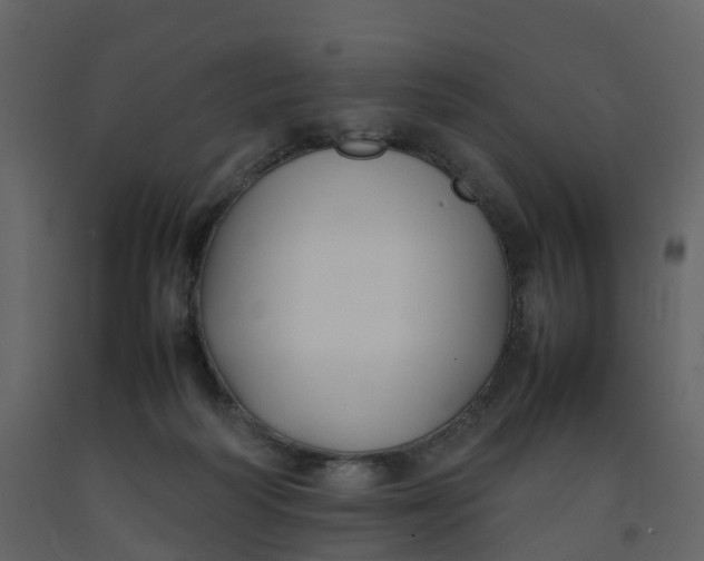 X0000092250218200710051305