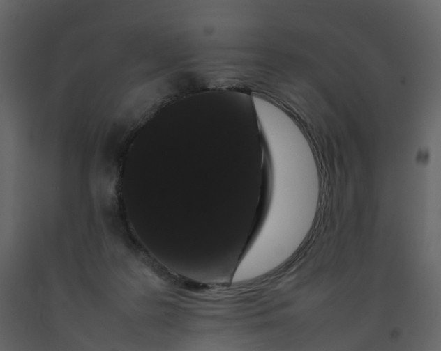 X0000092250219200710051305