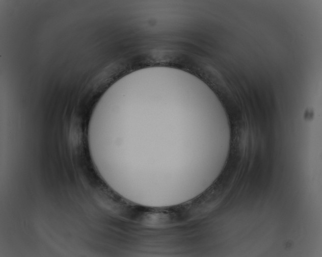 X0000092250220200710051305