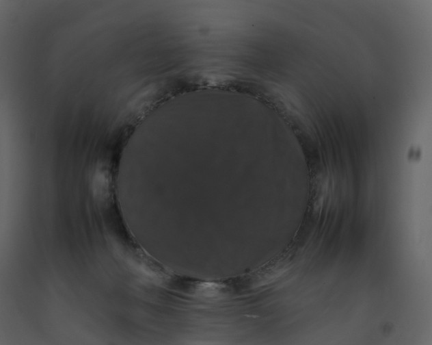 X0000092250222200710051305