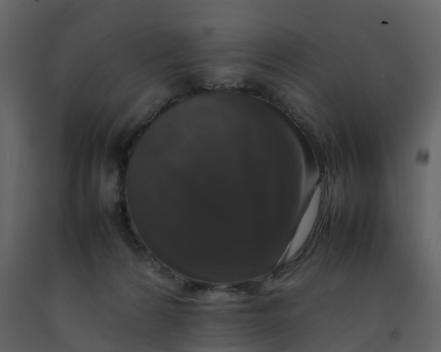 X0000092250224200710051305