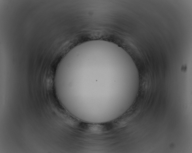 X0000092250226200710051305