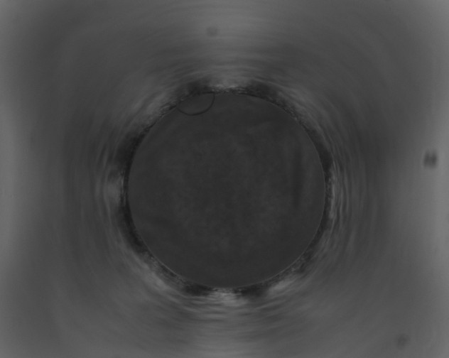 X0000092250227200710051305