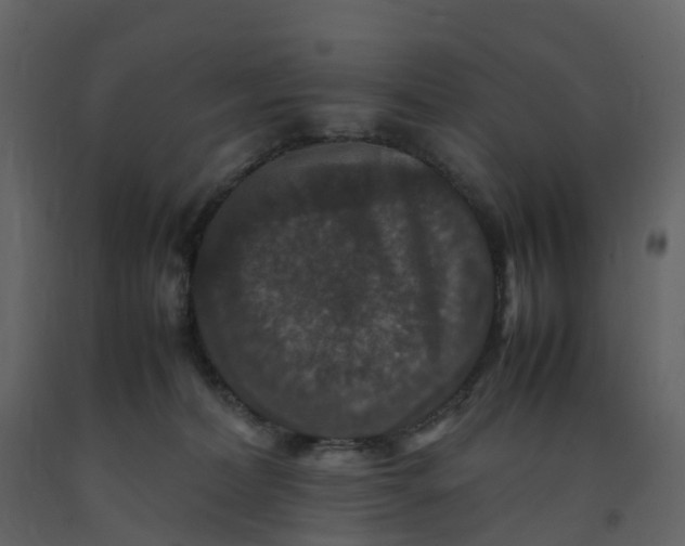 X0000092250228200710051305