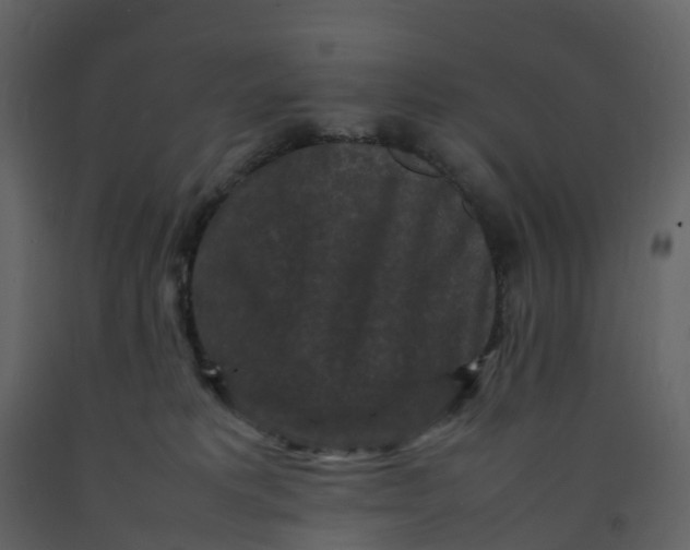 X0000092250229200710051305