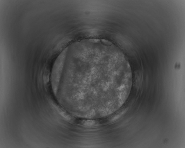 X0000092250230200710051305